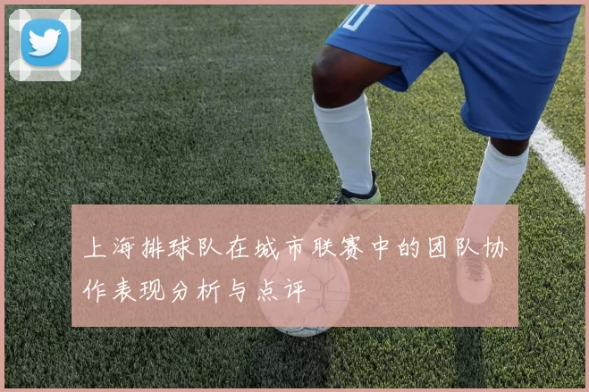 上海排球队在城市联赛中的团队协作表现分析与点评