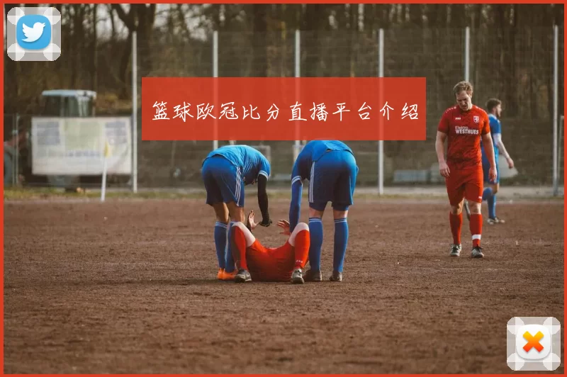 篮球欧冠比分直播平台介绍