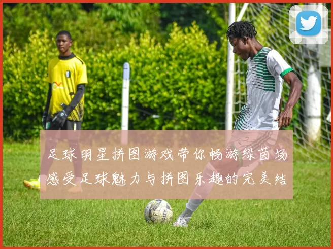 足球明星拼图游戏带你畅游绿茵场感受足球魅力与拼图乐趣的完美结合