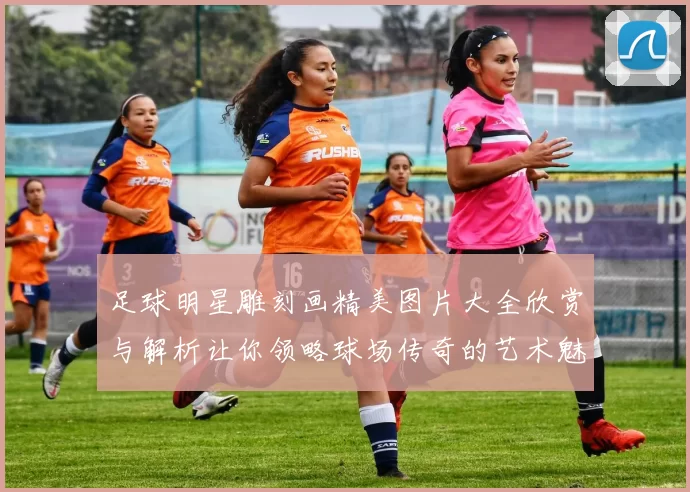 足球明星雕刻画精美图片大全欣赏与解析让你领略球场传奇的艺术魅力