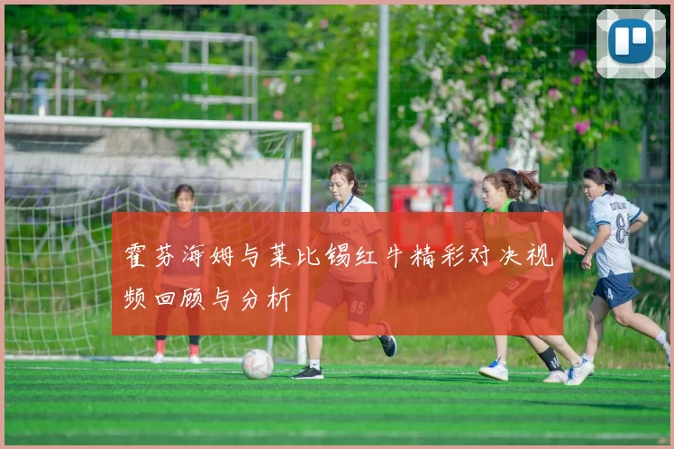 霍芬海姆与莱比锡红牛精彩对决视频回顾与分析