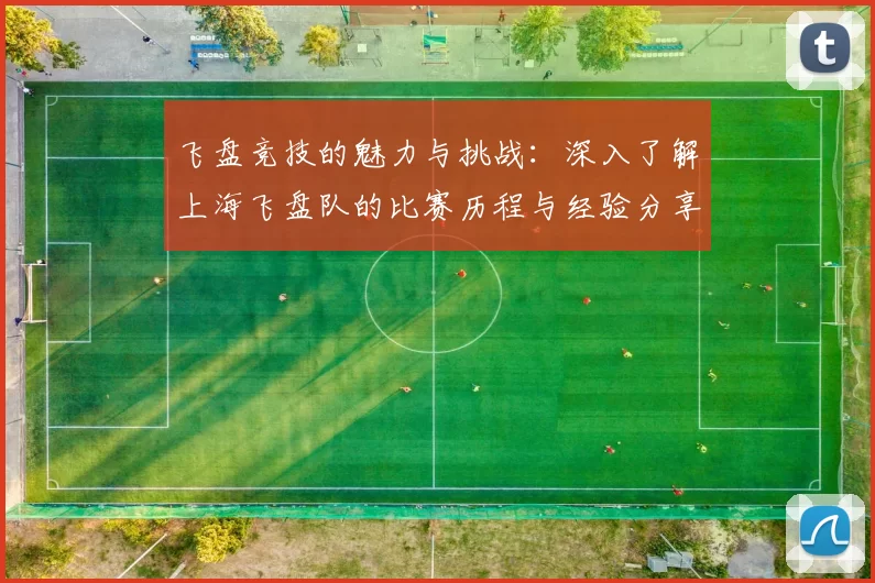 飞盘竞技的魅力与挑战：深入了解上海飞盘队的比赛历程与经验分享