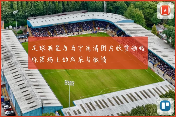 足球明星与马宁高清图片欣赏领略绿茵场上的风采与激情