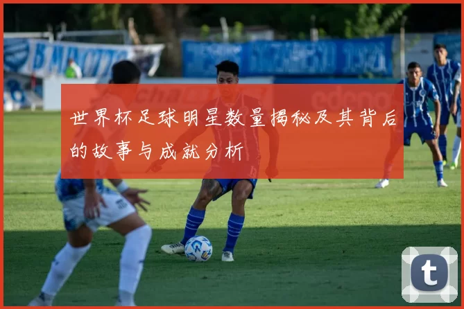 世界杯足球明星数量揭秘及其背后的故事与成就分析