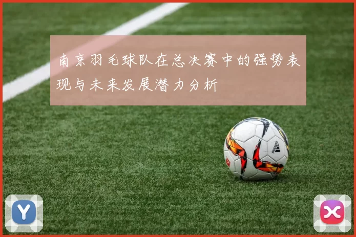 南京羽毛球队在总决赛中的强势表现与未来发展潜力分析