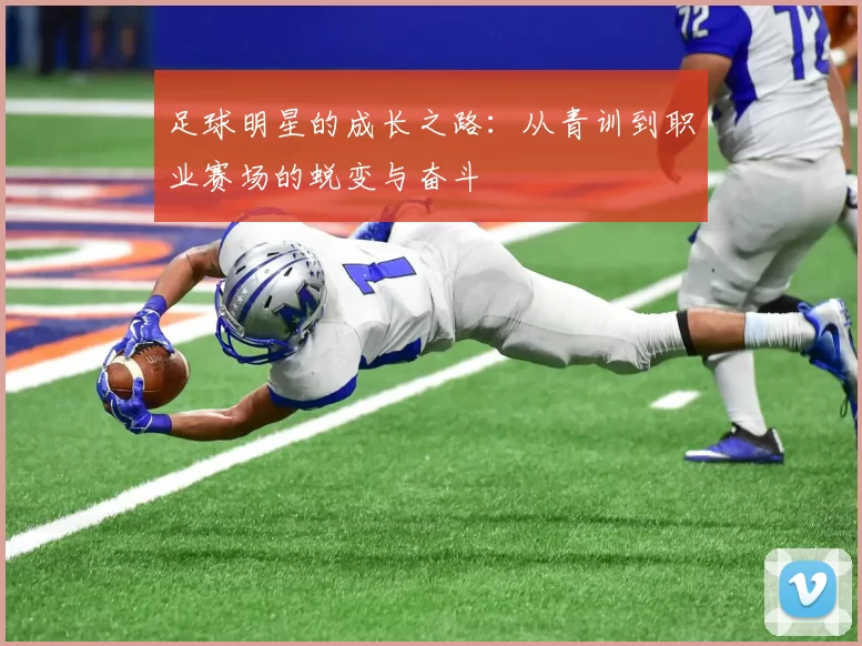 足球明星的成长之路：从青训到职业赛场的蜕变与奋斗
