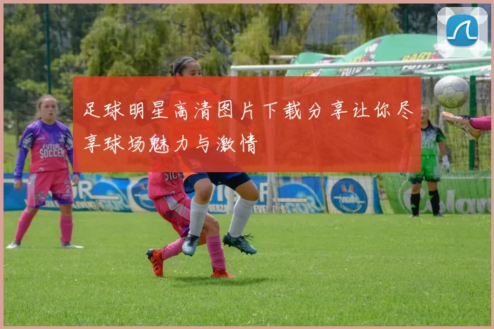 足球明星高清图片下载分享让你尽享球场魅力与激情