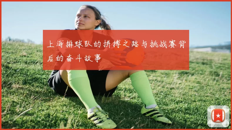 上海排球队的拼搏之路与挑战赛背后的奋斗故事