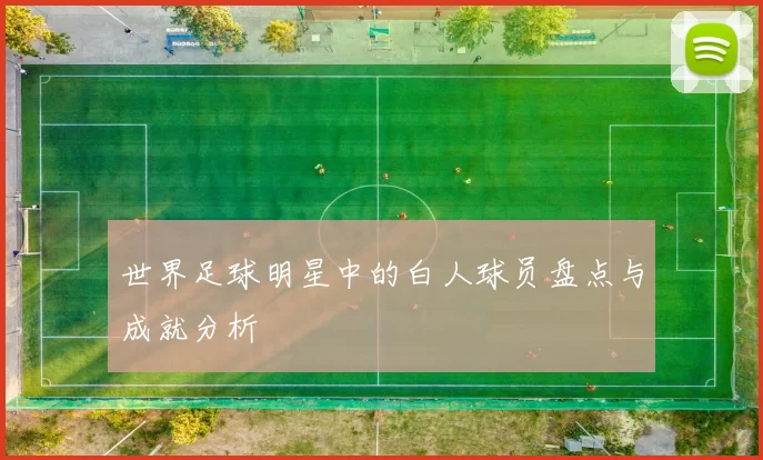 世界足球明星中的白人球员盘点与成就分析