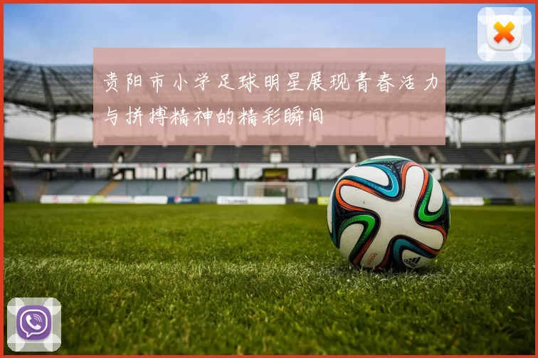 贵阳市小学足球明星展现青春活力与拼搏精神的精彩瞬间