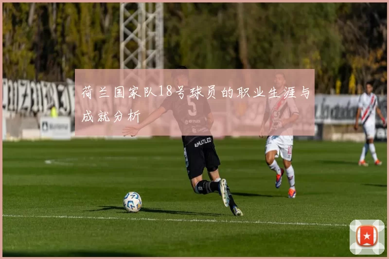 荷兰国家队18号球员的职业生涯与成就分析