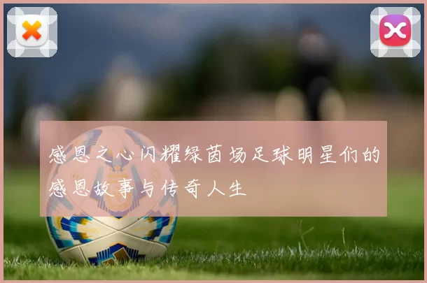 感恩之心闪耀绿茵场足球明星们的感恩故事与传奇人生