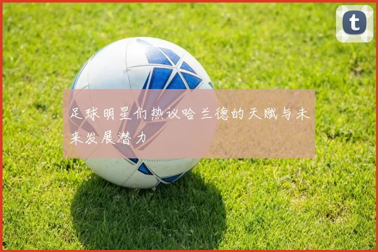 足球明星们热议哈兰德的天赋与未来发展潜力