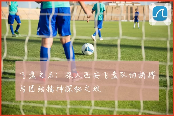 飞盘之光：深入西安飞盘队的拼搏与团结精神探秘之旅