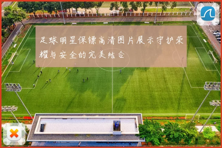 足球明星保镖高清图片展示守护荣耀与安全的完美结合