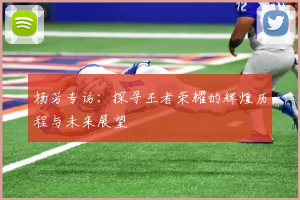 杨芳专访：探寻王者荣耀的辉煌历程与未来展望