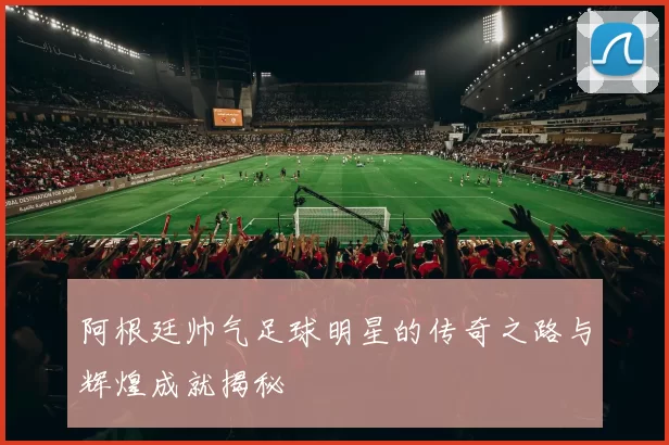 阿根廷帅气足球明星的传奇之路与辉煌成就揭秘