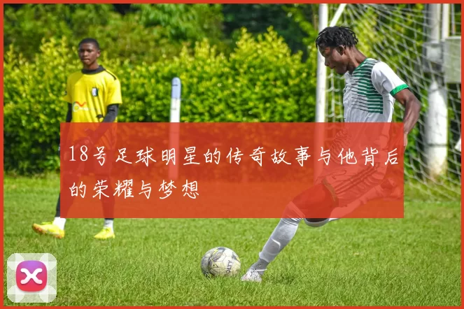 18号足球明星的传奇故事与他背后的荣耀与梦想