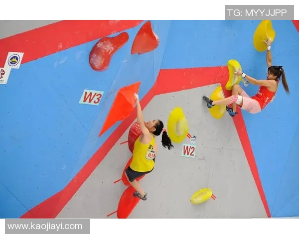 北京飞盘队在攀岩联赛中的团队协作表现分析与点评