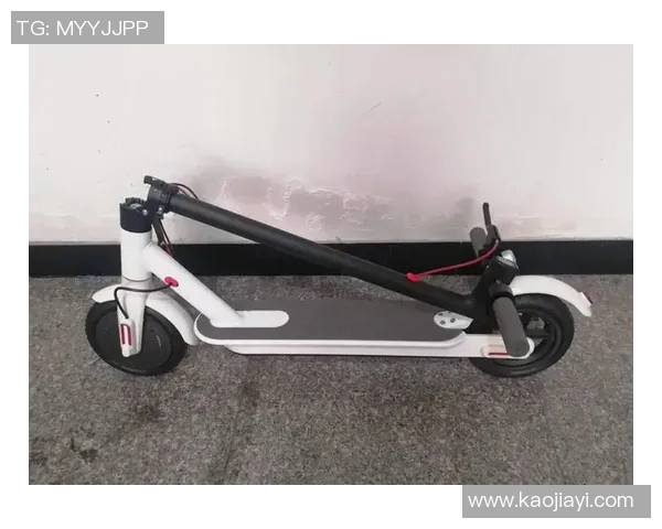 滑板装备选购指南及热门滑板推荐助你轻松入门滑板世界