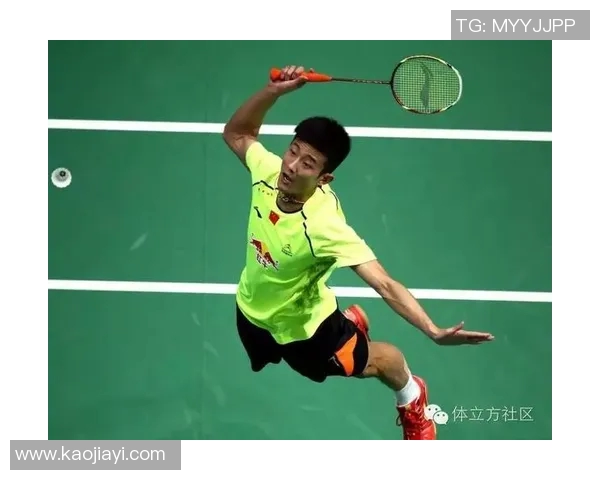 西安羽毛球队技术表现数据分析与提升策略探讨