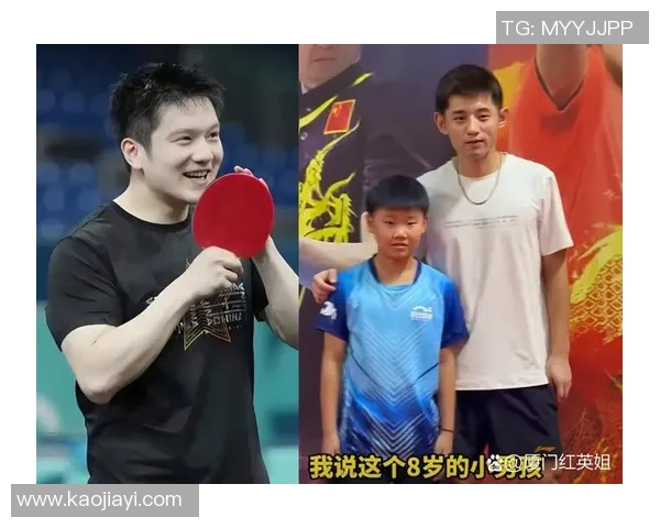 中国乒乓球运动员的奋斗历程与荣誉背后的故事揭秘