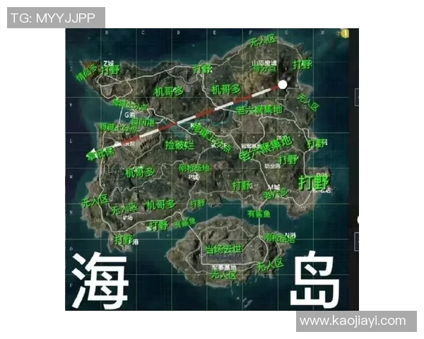 和平精英战术分析：深入探讨WE战队的快速进攻策略与执行细节