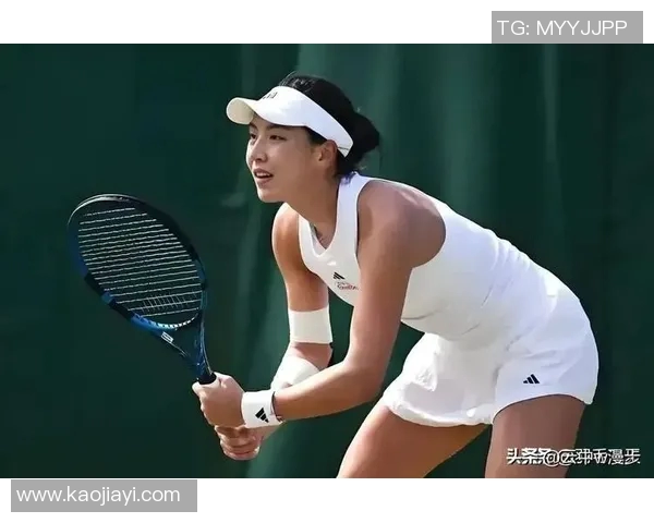 权威发布网球实力榜单揭示新星崛起与老将风采的精彩对决