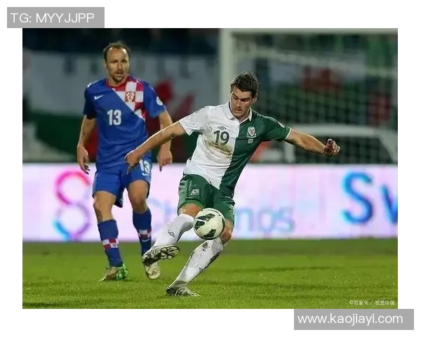 西布朗维奇的英超之路与未来展望