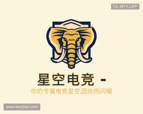 关于星空电竞